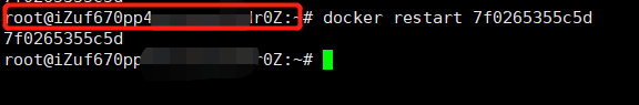 docker-wp-5